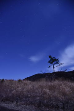 長者原・・・夜ツアー⑥