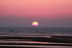 真珠海岸の夕日