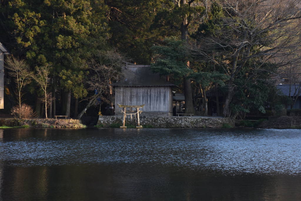 湯布院④