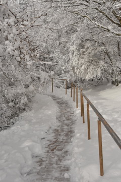 鶴見岳③
