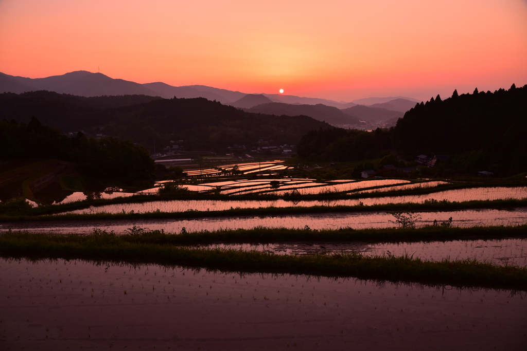 太陽に照らされる棚田