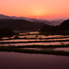 太陽に照らされる棚田