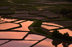 夕刻の棚田