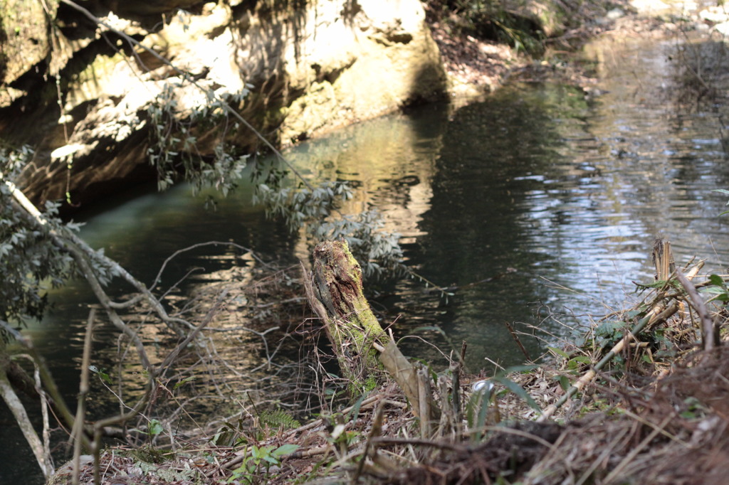 東椎屋の滝5