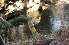 東椎屋の滝5