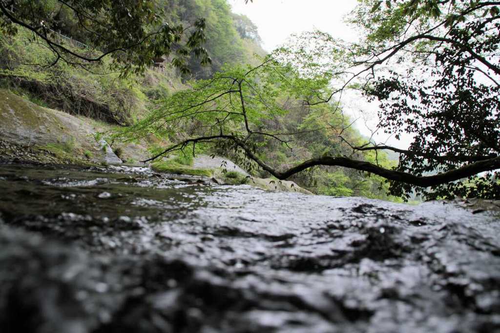 白水の川