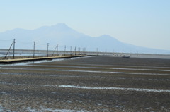 長部田海床路③