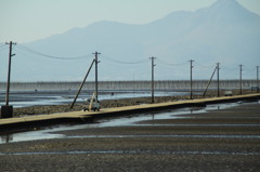 長部田海床路②