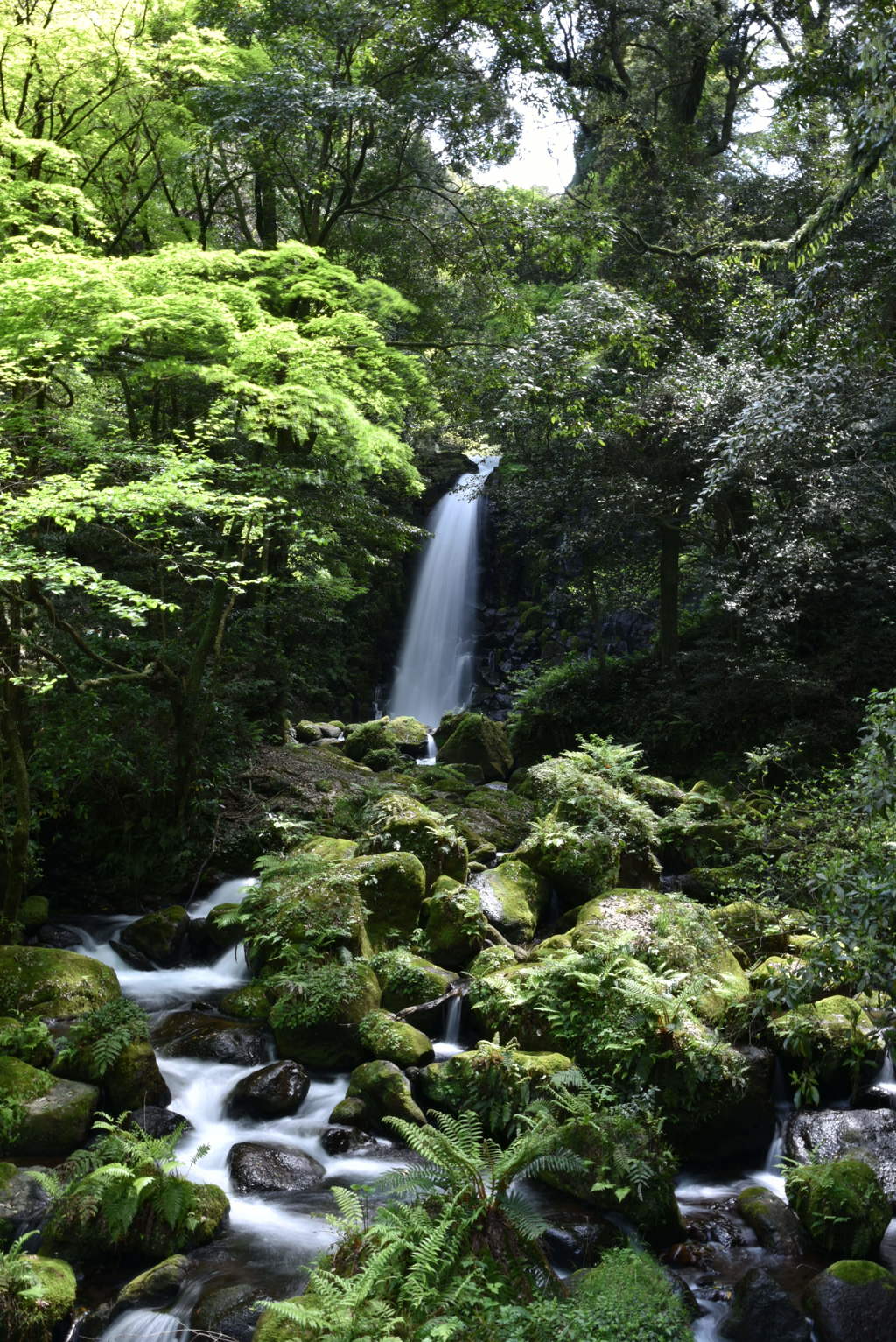 白糸の滝②