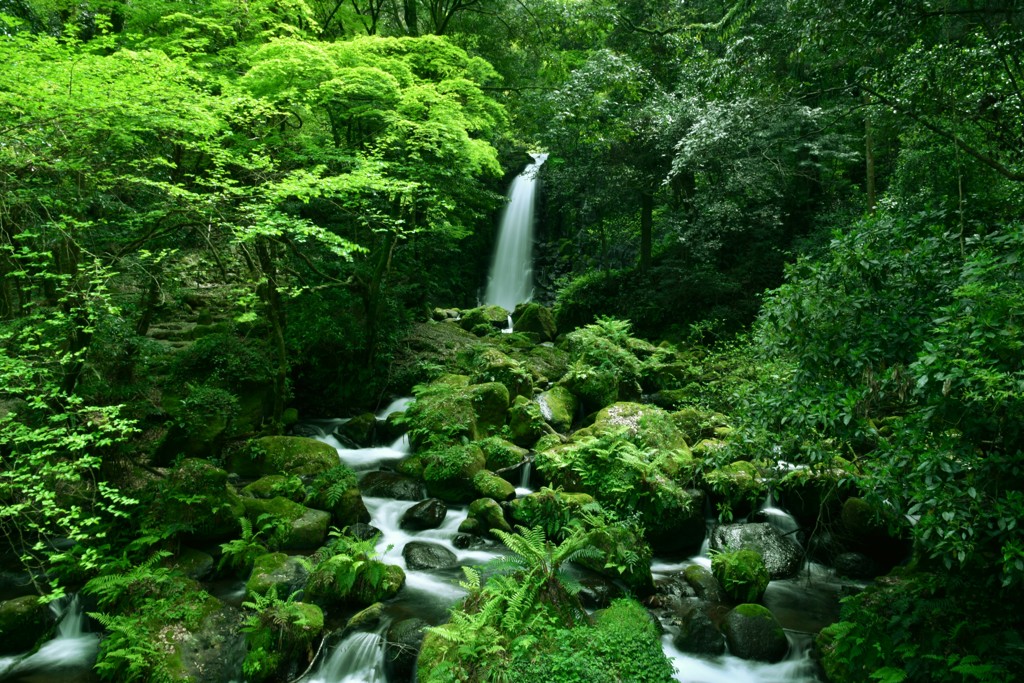 白糸の滝①