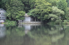 金鱗湖④