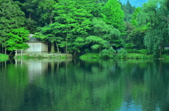 新緑の金鱗湖③