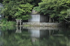 金鱗湖③
