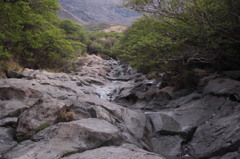 酔仙峡③