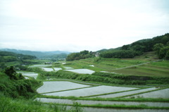 宇佐　棚田