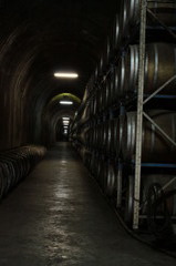 焼酎トンネル