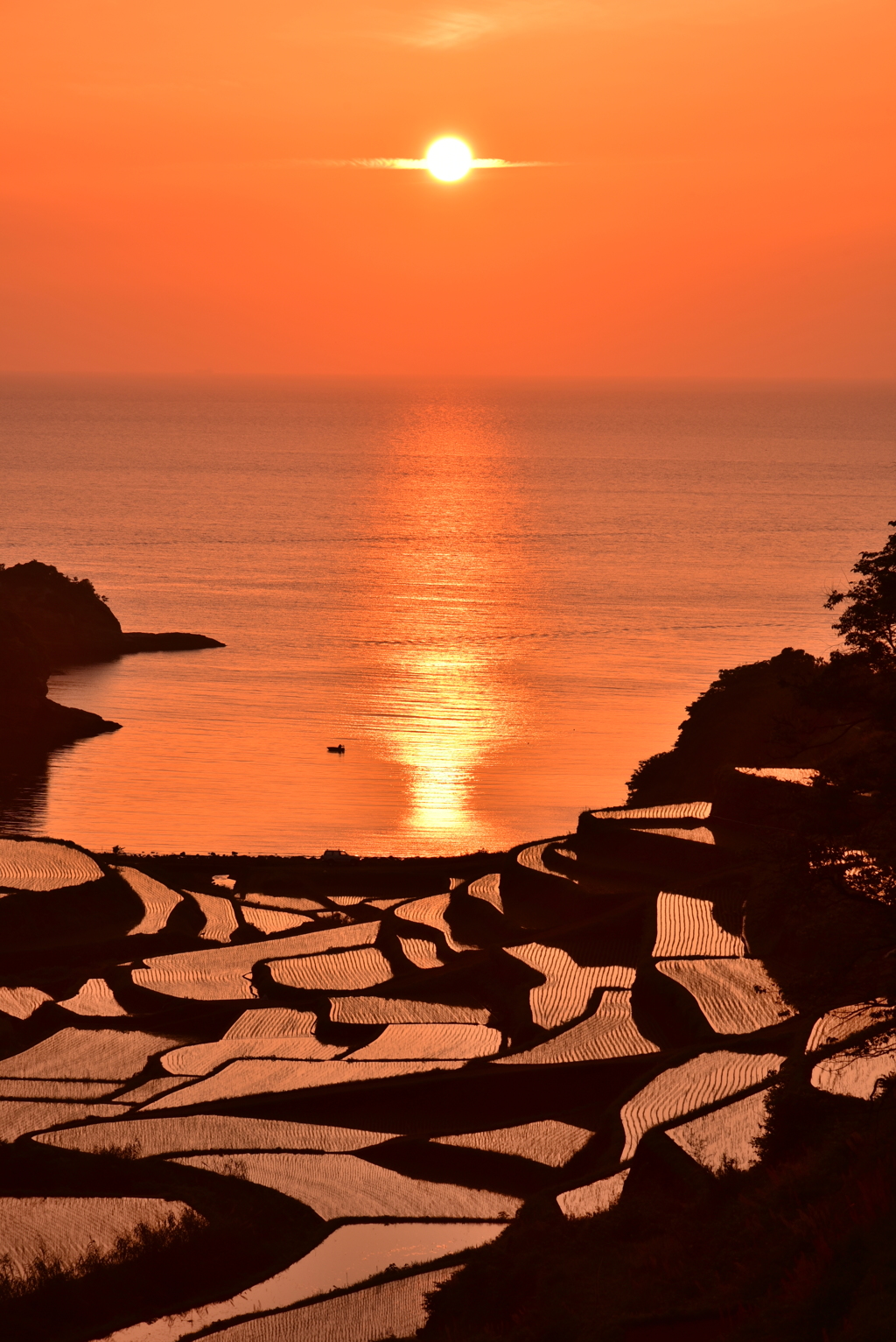 浜野浦の棚田①