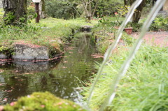 白川の名水