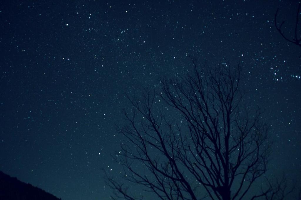 久住高原星空④