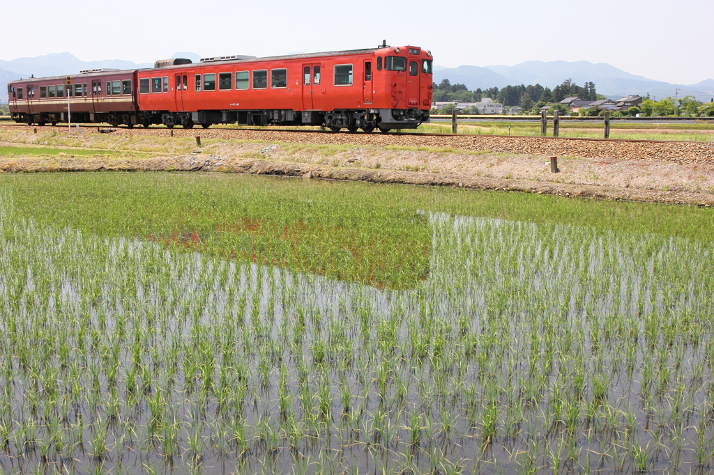田園×気動車＝田舎