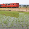 田園×気動車＝田舎