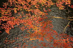 鶴仙渓⑤