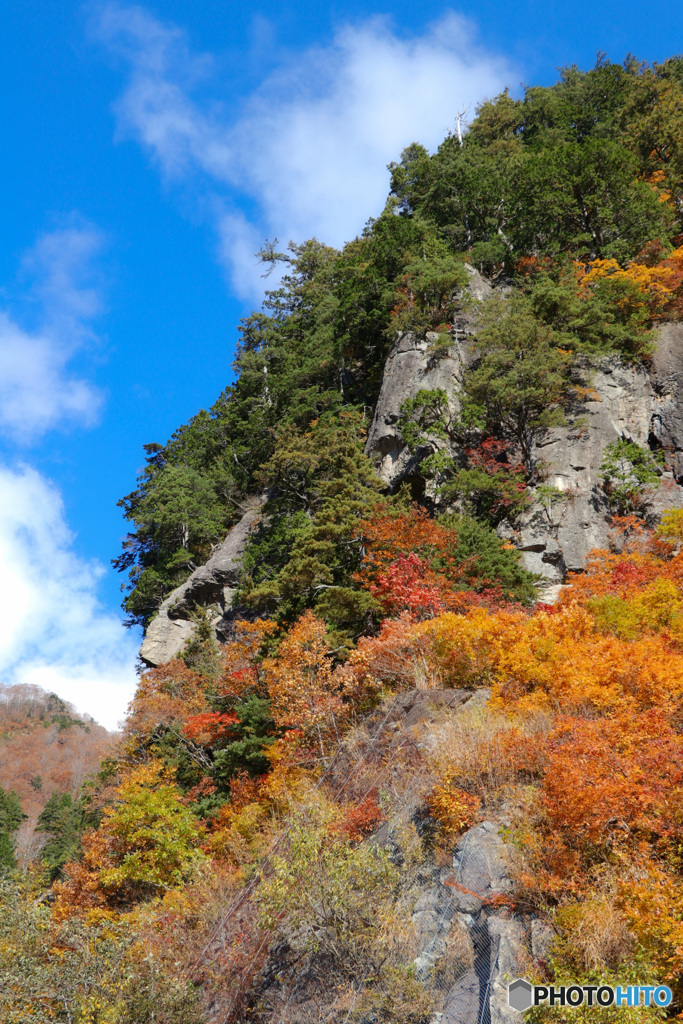 白山ホワイトロード　紅葉