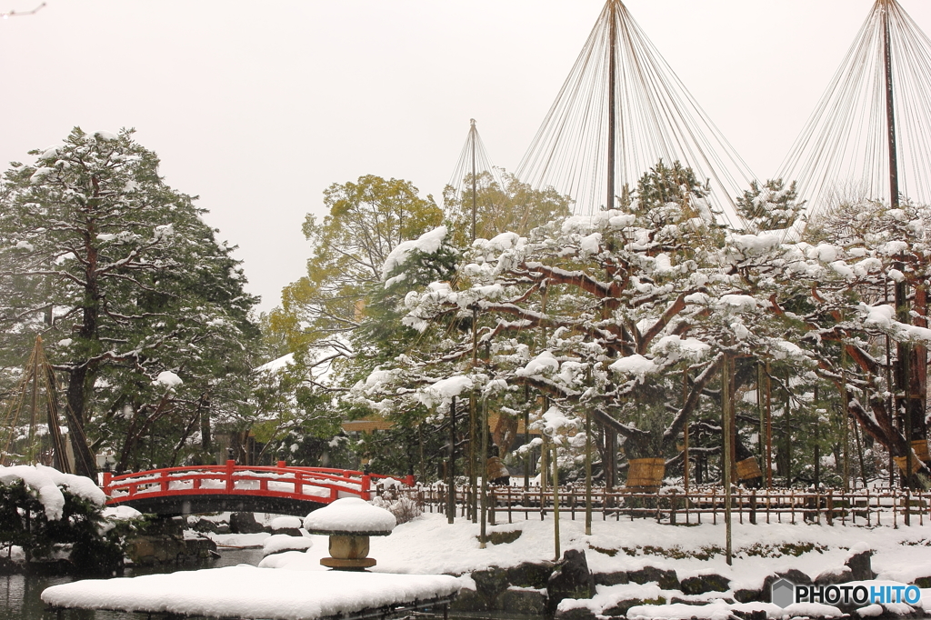 芦城公園 雪吊り