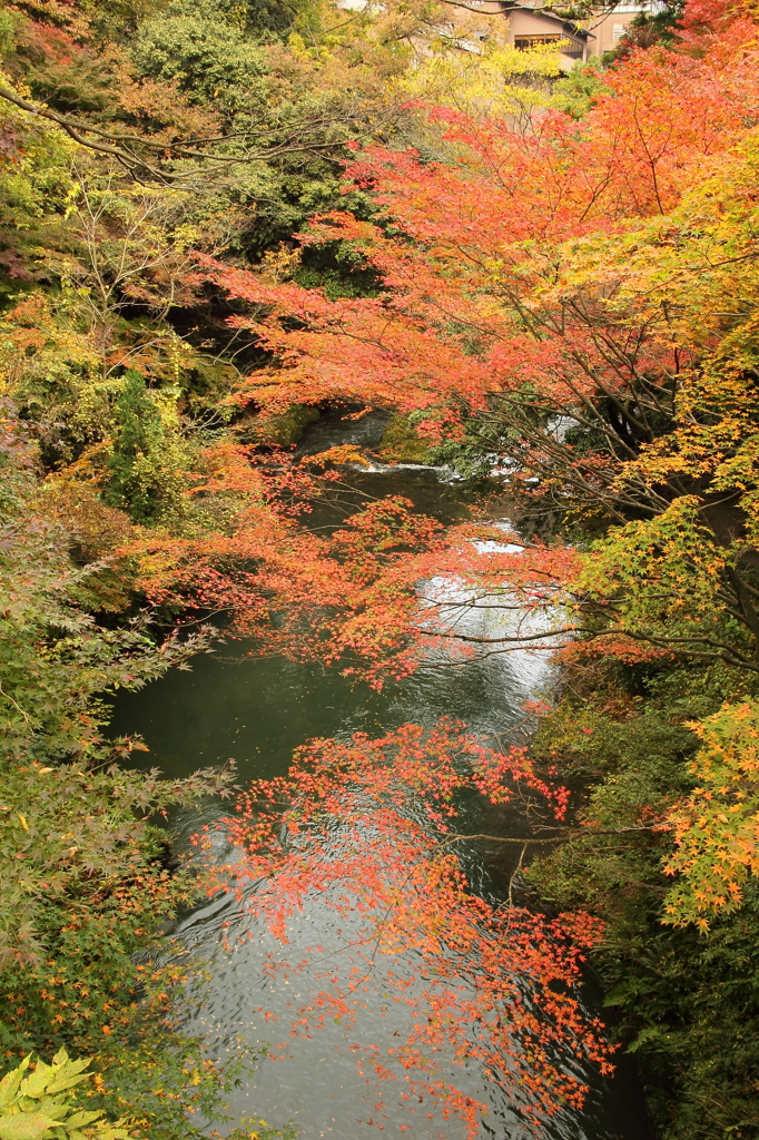 鶴仙渓④