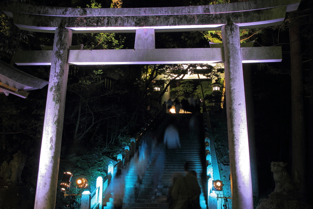 白山比咩神社　参道鳥居