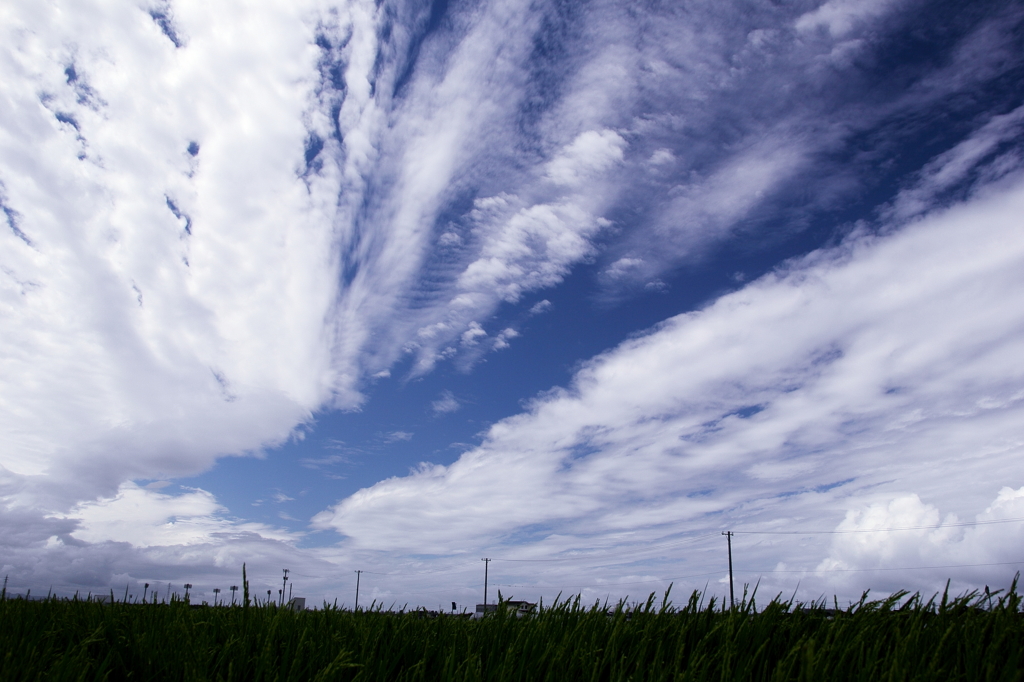 空・雲・稲穂