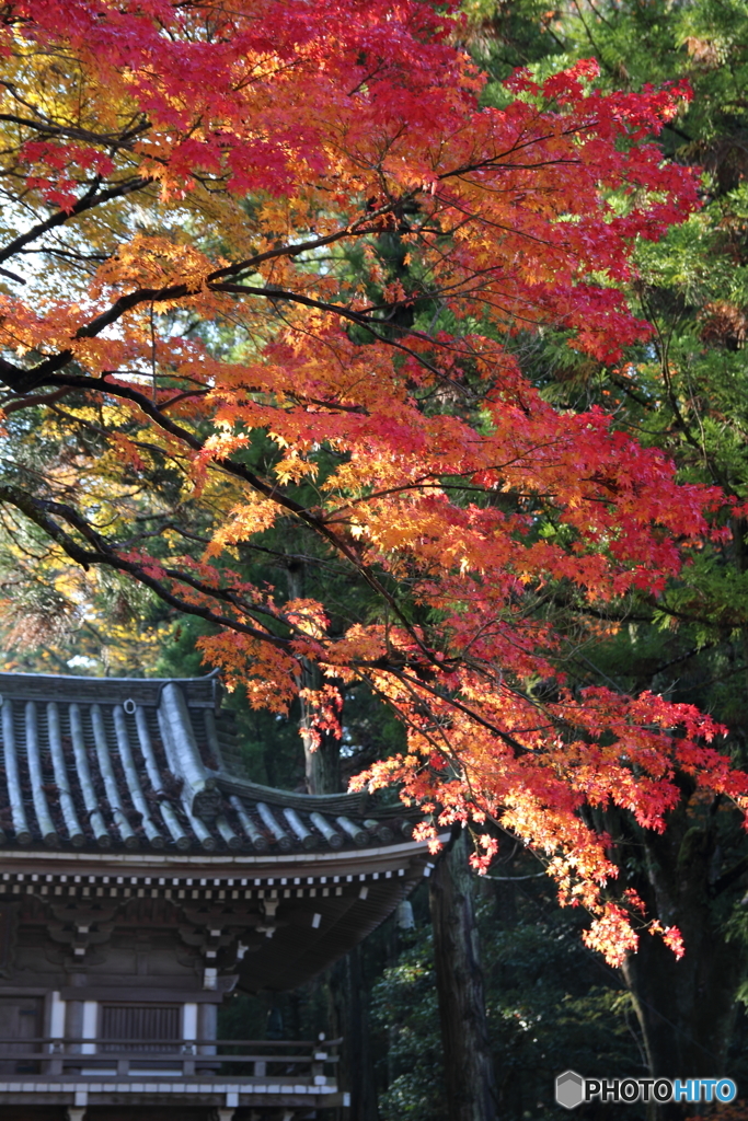 那谷寺　山門