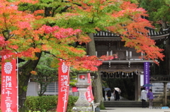 色づき始めた那谷寺