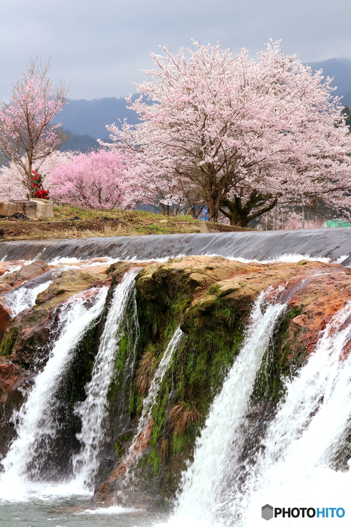 十二ヶ滝　春①