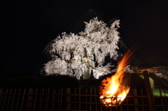 円山公園の篝火