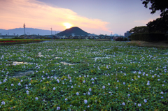 『朧夕日の畝傍山』