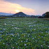 『朧夕日の畝傍山』