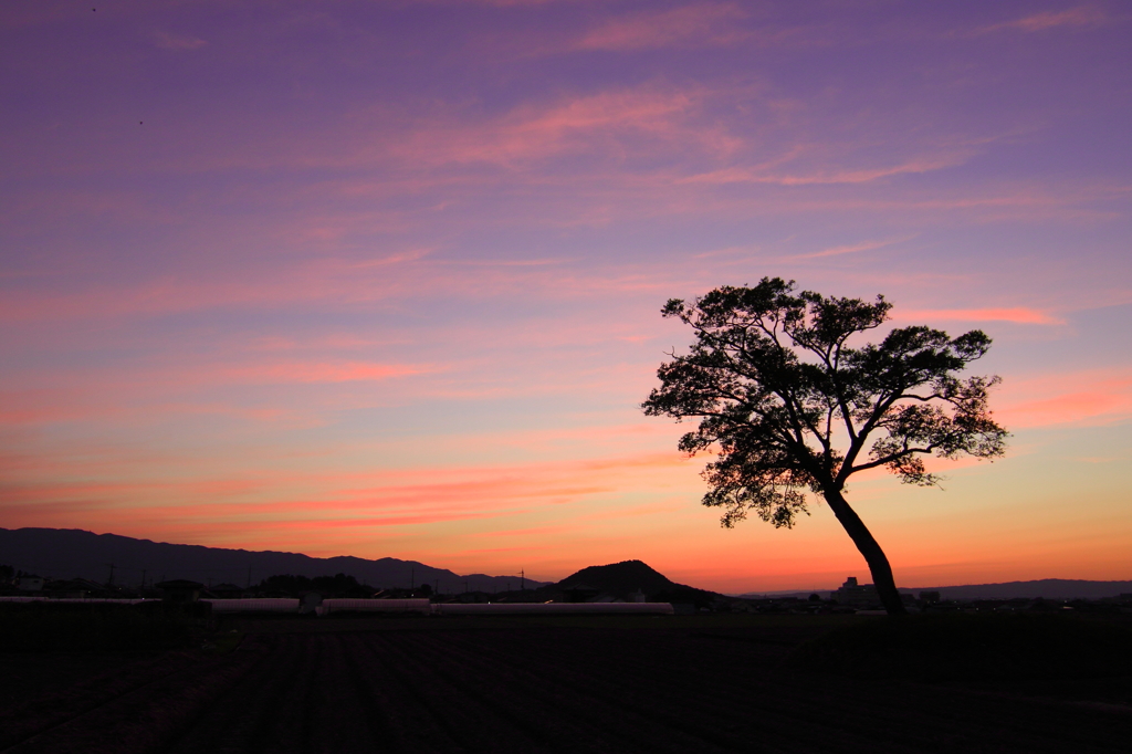 古宮土壇の夕景