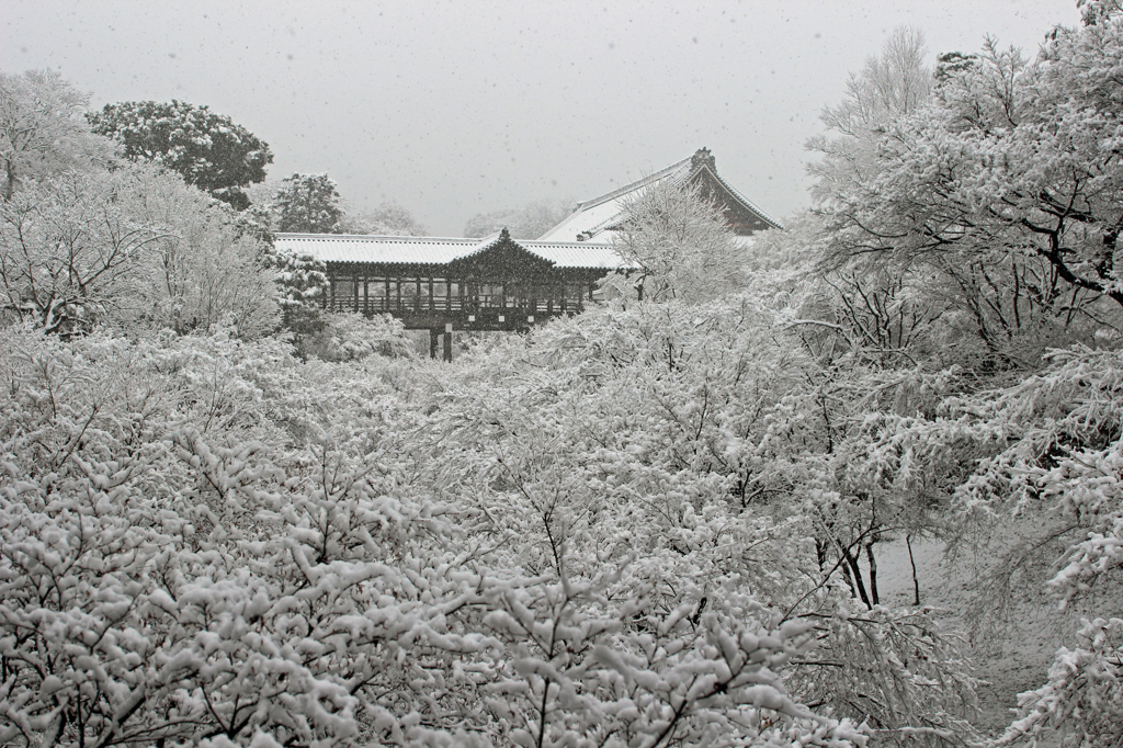 豪雪の通天橋