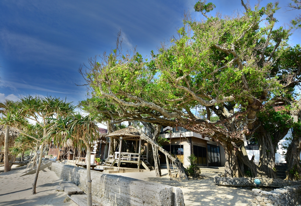 初めてのHDR