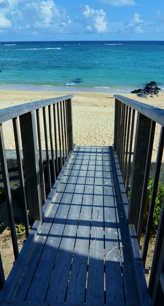 a brige to the sea