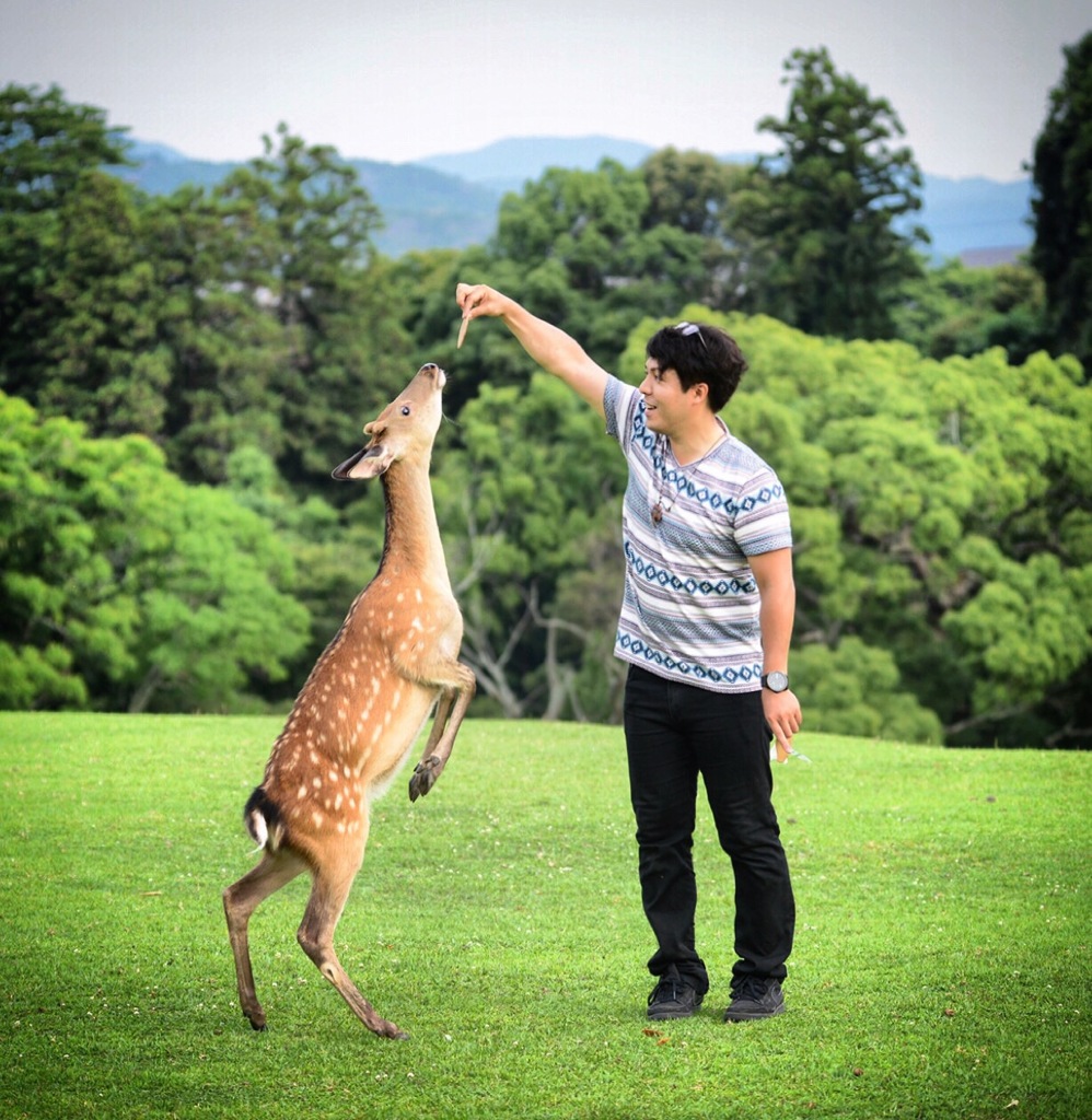 餌の上げ方はこんな感じで