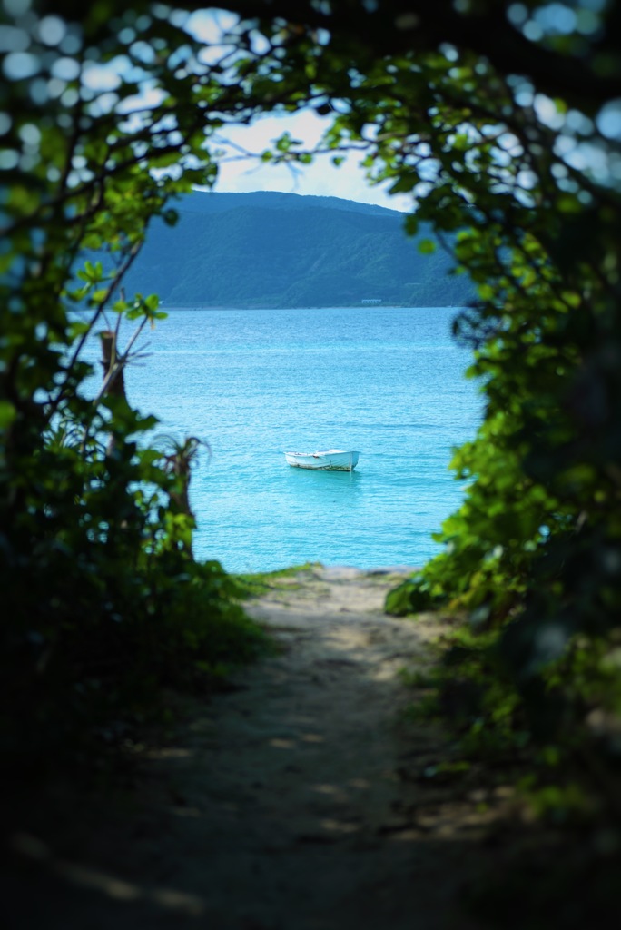 A path to the beach