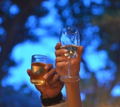 toast to blue night. 