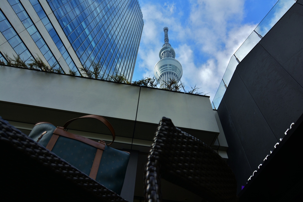 カフェから見上げるskytree