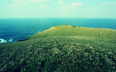新緑の岬
