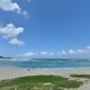 土盛海岸