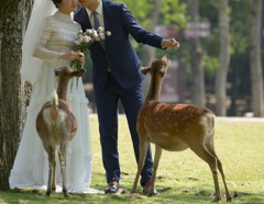 engagement photo