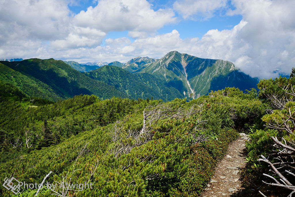 静かな山道