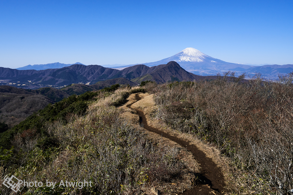 冬の登山道